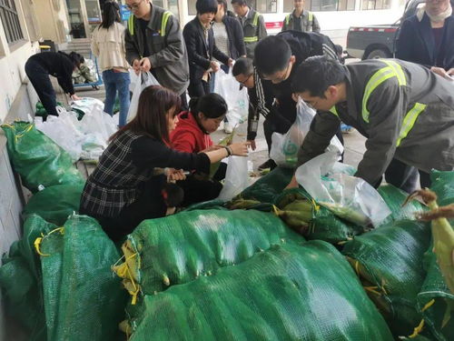 新闻集装箱 知晓三期事 第45-48周赛事活动综述